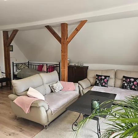 Apartamento Alte Schule *